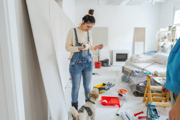 Best Ceiling Drywall Installation  in El Paso, IL