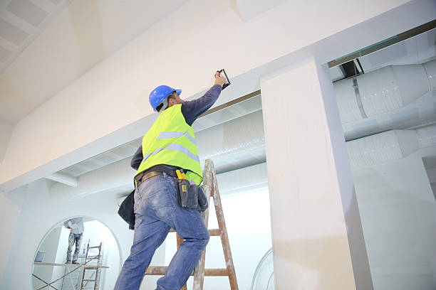 Best Drywall Installation  in El Paso, IL